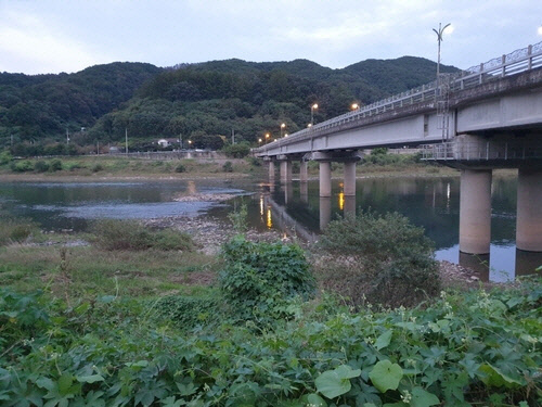 사고가 난 금강의 모습 [충북도소방본부 제공]